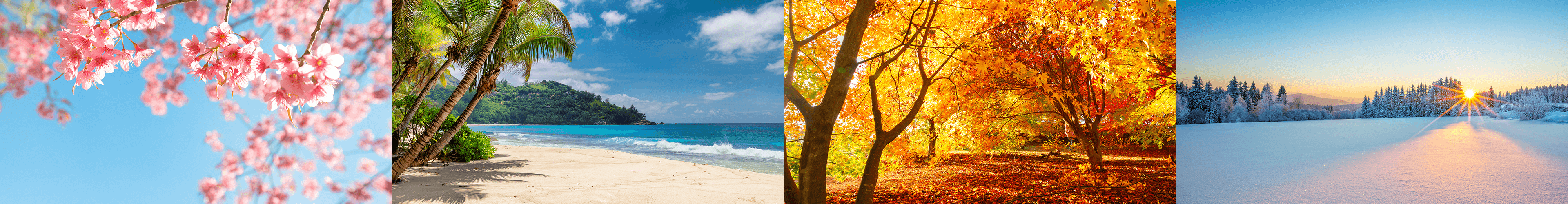 紫外線対策は、1年を通して必要です