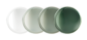 グラファイトグリーン